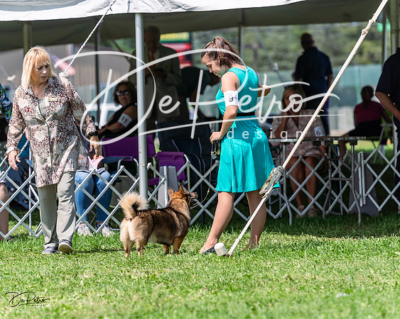 20230818-DSC05728