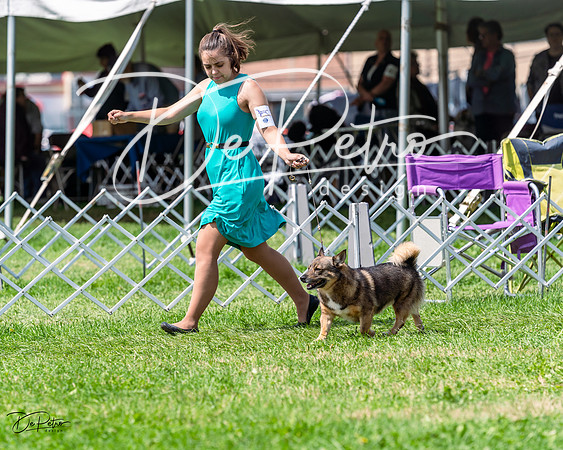 20230818-DSC05739