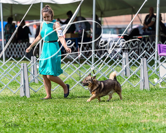 20230818-DSC05744