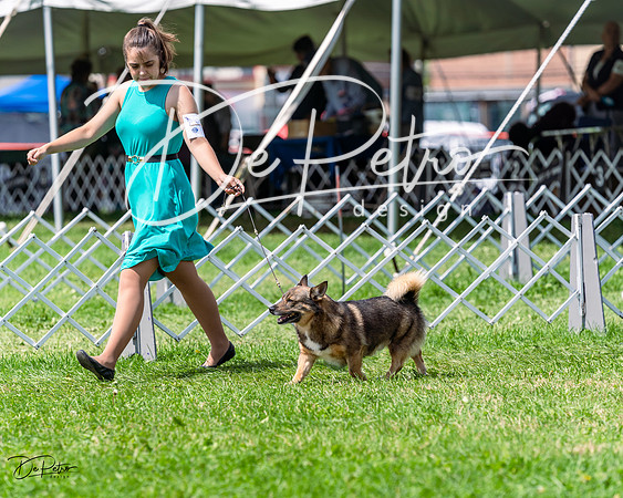20230818-DSC05746