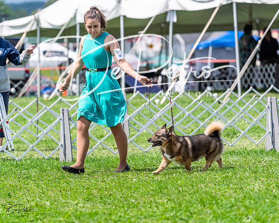 20230818-DSC05750