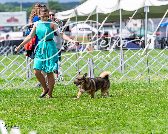 20230818-DSC05757