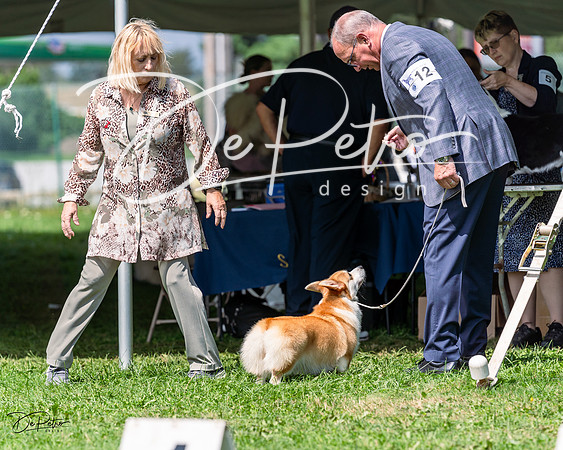 20230818-DSC05761