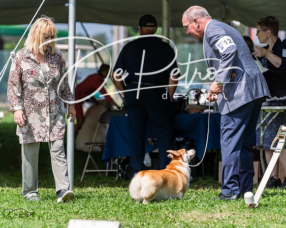 20230818-DSC05763