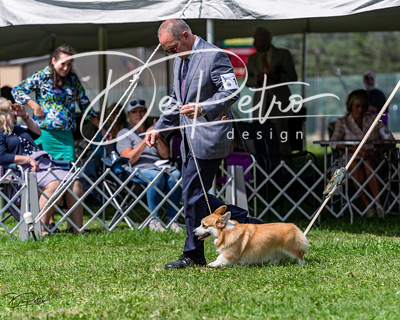 20230818-DSC05768