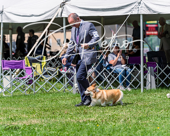 20230818-DSC05773