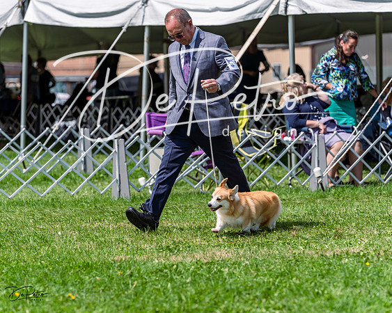 20230818-DSC05779