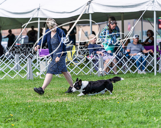 20230818-DSC05815