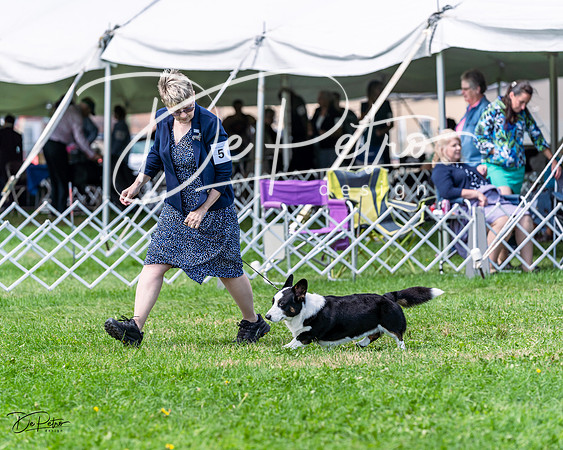 20230818-DSC05819
