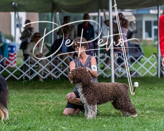 20230818-DSC05848