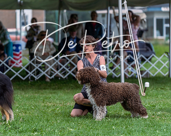 20230818-DSC05850