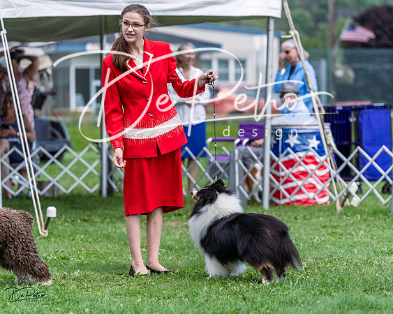 20230818-DSC05851