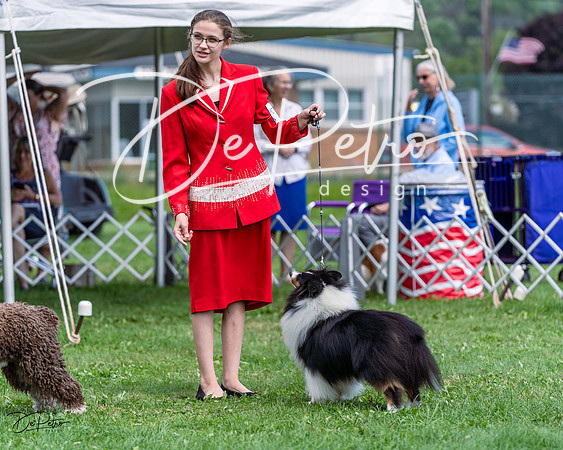 20230818-DSC05853