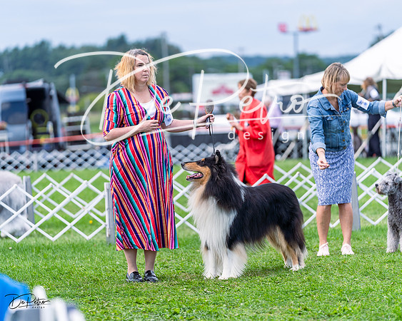 20230818-DSC05865