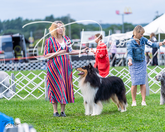 20230818-DSC05866