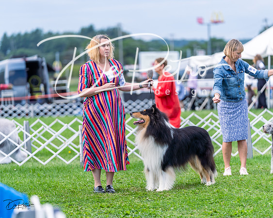 20230818-DSC05867