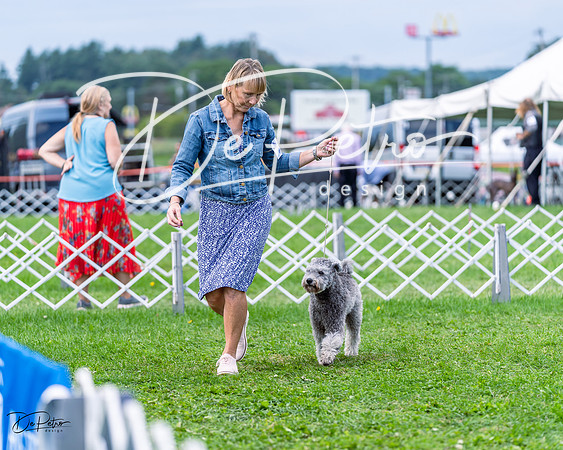20230818-DSC05886