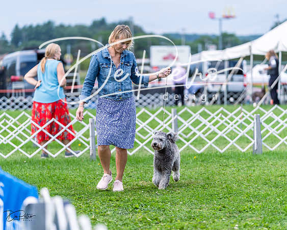 20230818-DSC05887
