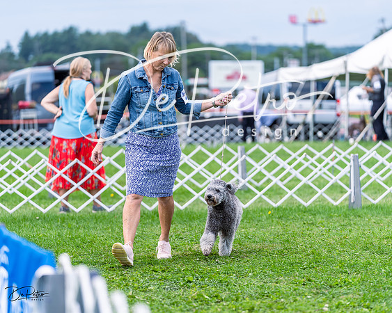 20230818-DSC05888