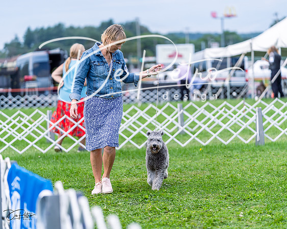 20230818-DSC05891