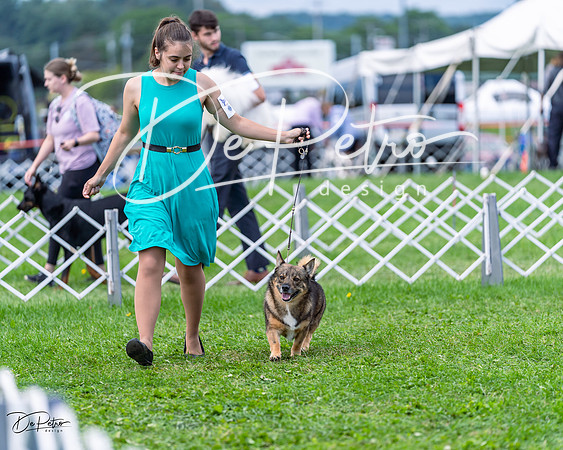 20230818-DSC05898