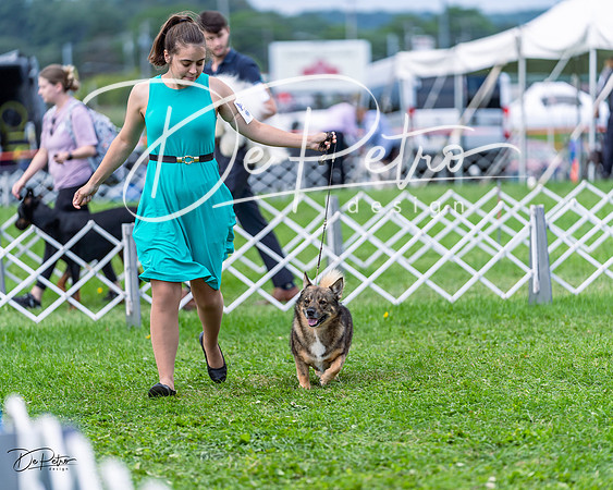 20230818-DSC05899