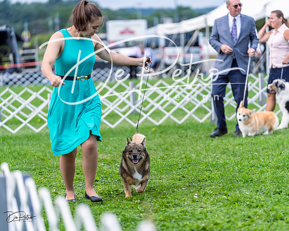 20230818-DSC05906
