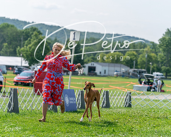 20240816-DSC00663