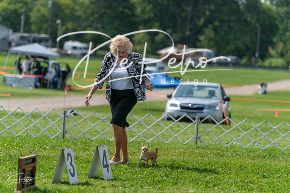 20240816-DSC00358
