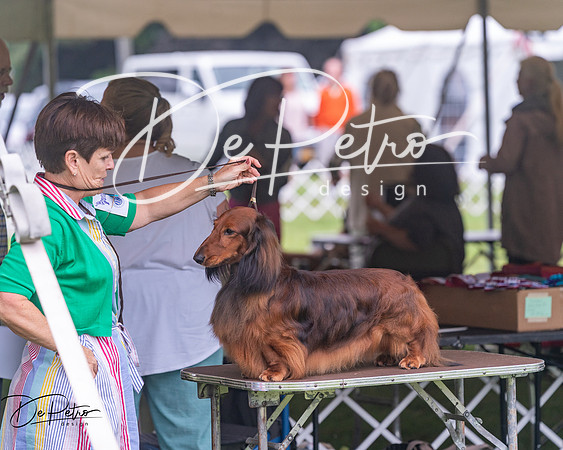 20250626-DSC04609
