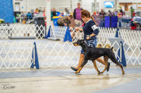 20230825-DSC02210