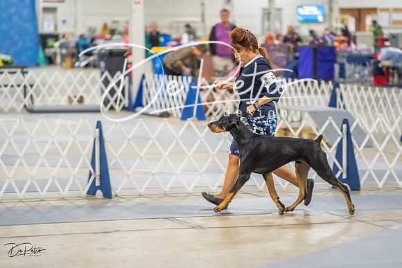 20230825-DSC02210
