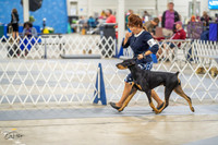 20230825-DSC02213