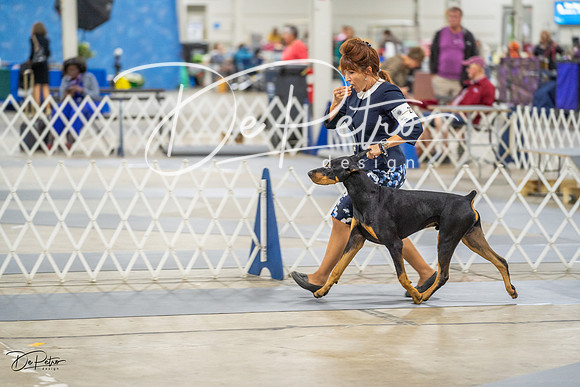 20230825-DSC02213