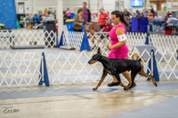 20230825-DSC02201