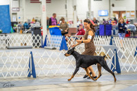 20230825-DSC02196