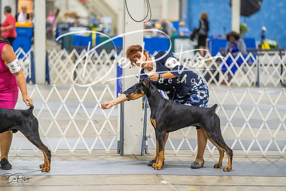 20230825-DSC02222