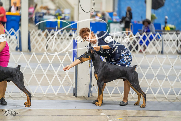 20230825-DSC02224