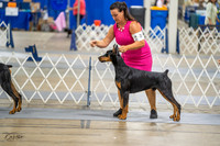 20230825-DSC02227