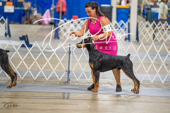 20230825-DSC02227