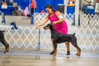 20230825-DSC02229