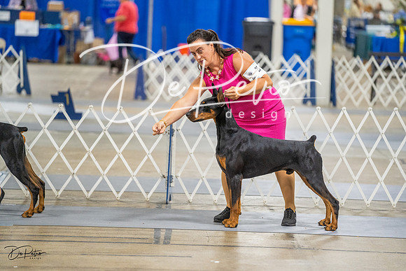 20230825-DSC02231