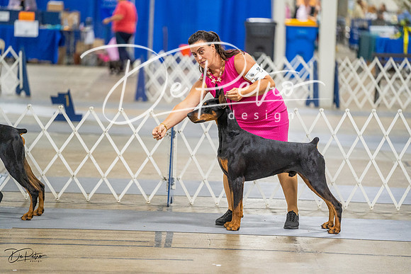 20230825-DSC02232