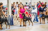 20230825-DSC02182