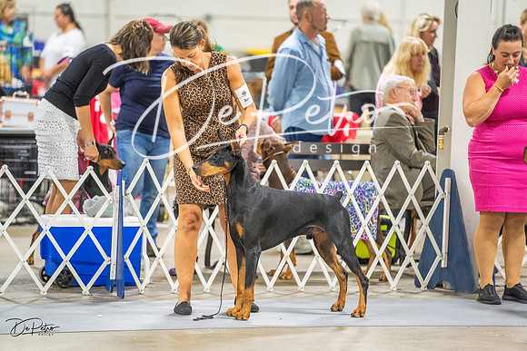 20230825-DSC02185