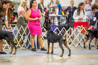 20230825-DSC02190