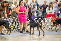 20230825-DSC02191