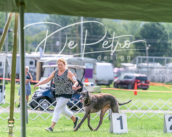 20240815-DSC06738