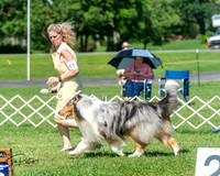 20250629-DSC00757
