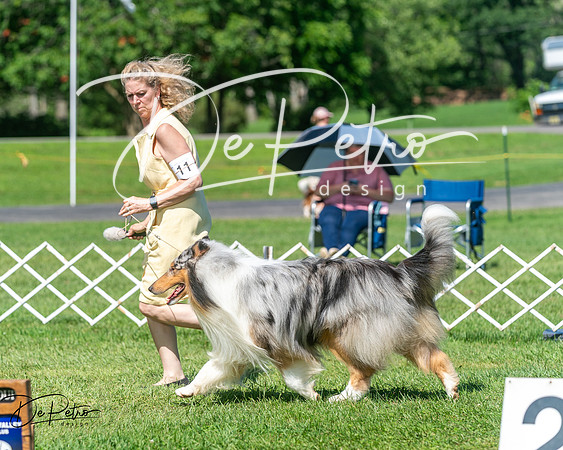 20250629-DSC00757